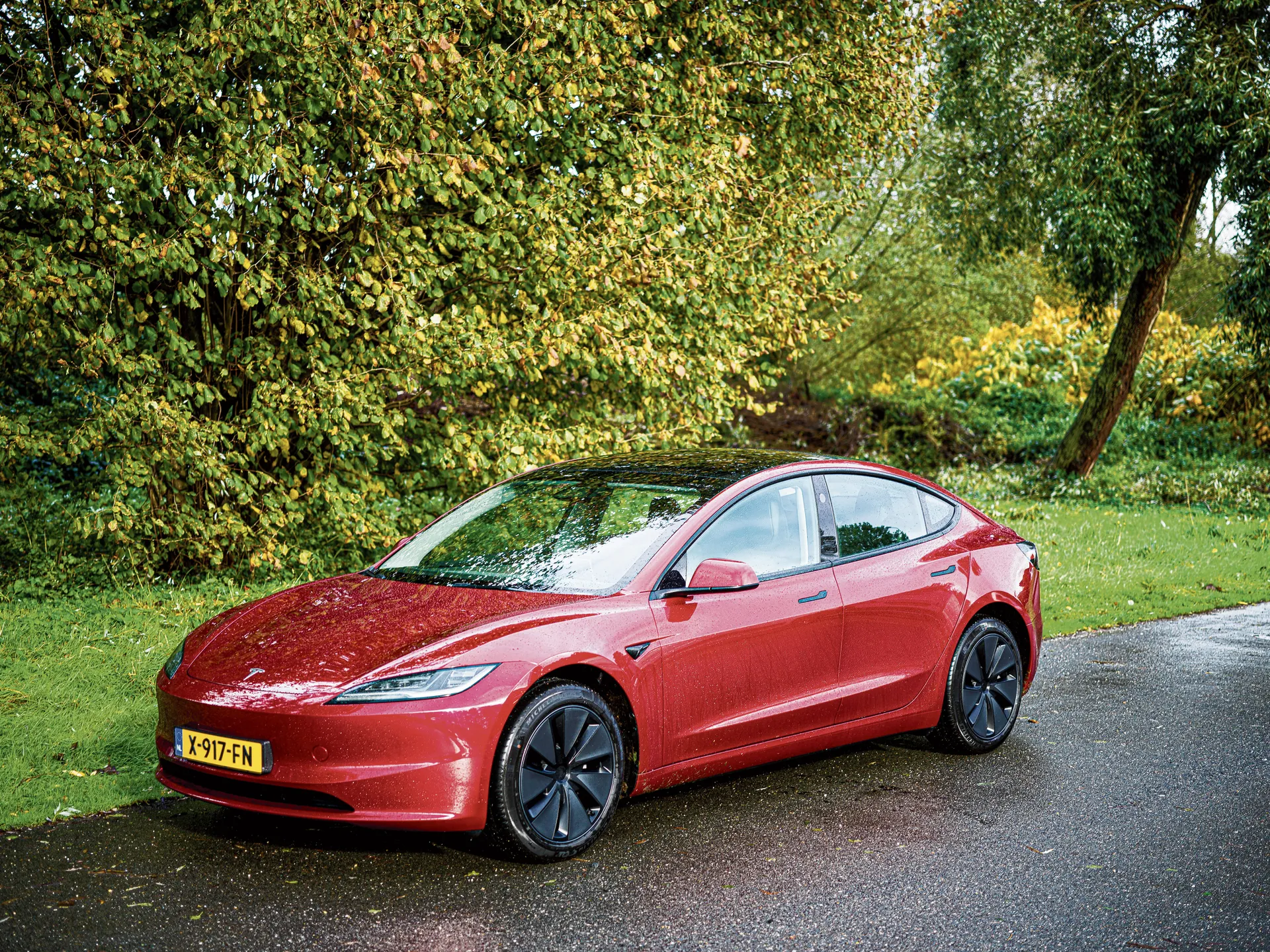 Paint Protection Film